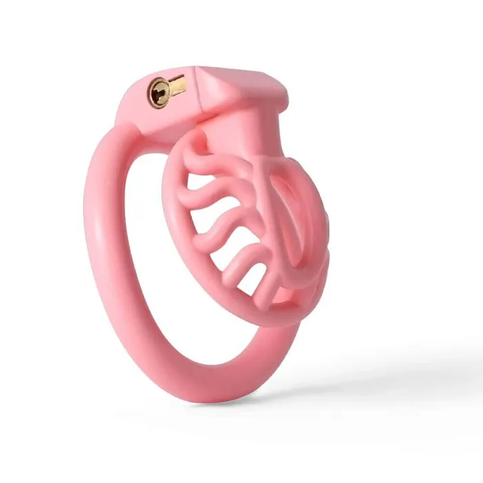 Male Sex Toys CHASTITY CAGE CO BDSM 3D Printing Sun Spider Chastity Device