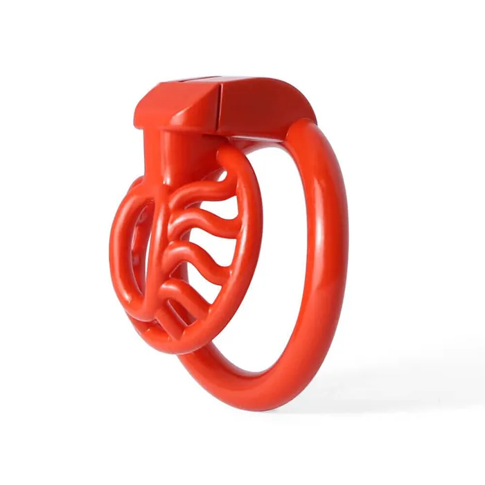 Male Sex Toys CHASTITY CAGE CO BDSM 3D Printing Sun Spider Chastity Device