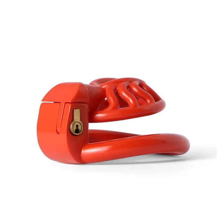 Male Sex Toys CHASTITY CAGE CO BDSM 3D Printing Sun Spider Chastity Device