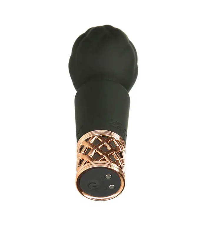 BMS Enterprises Vibrators Pillow Talk Secrets Rechargeable Wand