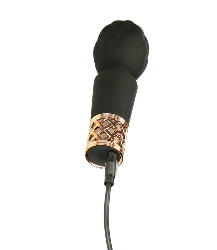 BMS Enterprises Vibrators Pillow Talk Secrets Rechargeable Wand