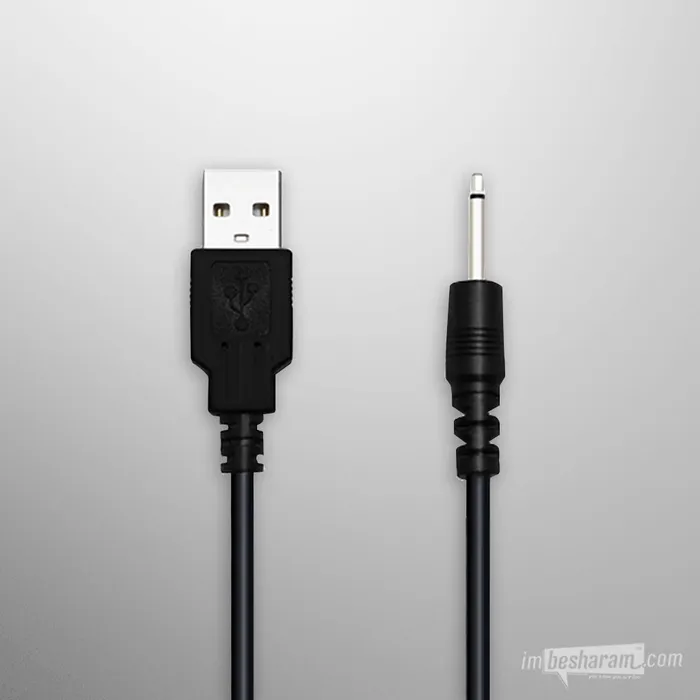 Vibrators Lovense Lovense Charging Cable